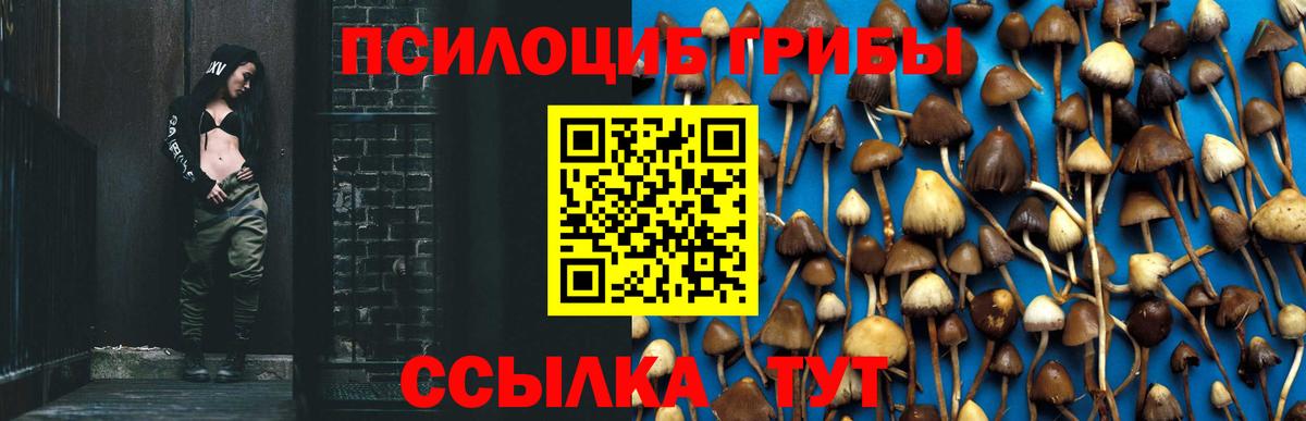 Зеленогорск  Псилоцибиновые грибы MAGIC MUSHROOMS  Галлюциногенные грибы мицелий  Вход с VPN 